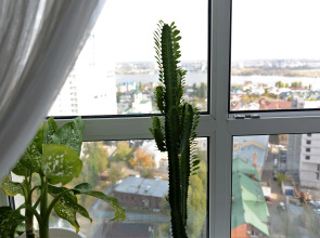 Апартаменты Проспект Революции 9-А-239