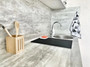 Квартира Елена Озерки