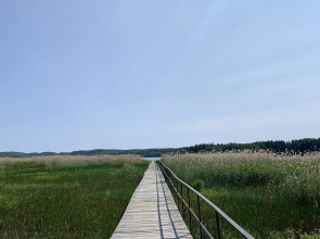 Гостевой дом Тайка Хаус