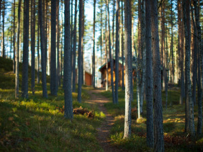 База отдыха Громово Парк