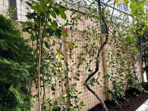 Гостевой Дом Прибрежный