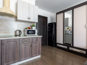 Апартаменты метро Ладожская