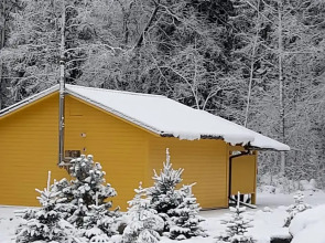 Гостевой дом с выходом в лес