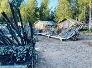 Svoboda
