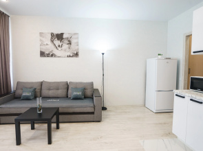 Apartamenty INNDAYS na Pranicnoj 4