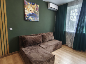 Uyutnaya Odnokomnatnaya V Tsenre Flat