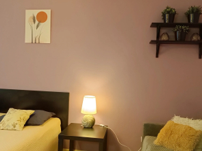 Апартаменты Библиотечная 45 #1