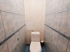 Квартира Однокомнатная на Проспекте Ленина 50