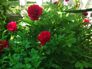 Гостевой Дом K&T