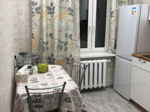 Квартира в Центре на Гудина