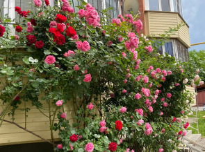 Квартира Welcome