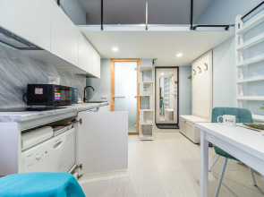 Апартаменты iRon Cat Кузнечный у Невского Проспекта