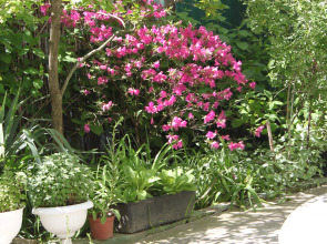 Dobro Pozhalovat Guest House