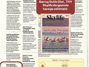 Отель Sarnıс Butik