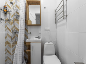 Апартаменты Стильные Loft Flats&Rooms Vnukovo