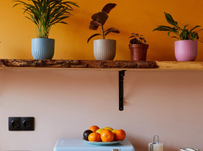 Мини-отель Лесная Ванна