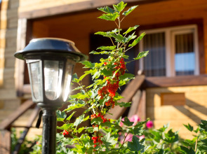 Отель Даурия