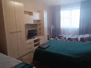 V Tsentre Goroda Flat