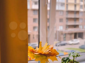 Апартаменты Вдали от суеты