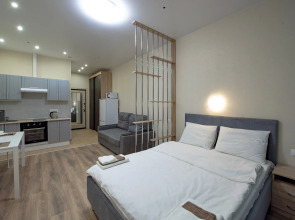 Апартаменты Студия на Флотской