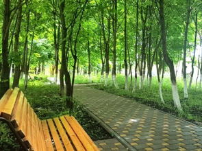 Квартира у Нарзанов