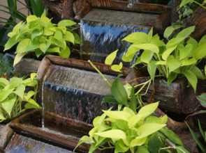 Отель Patong Mansion