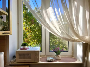 Квартира Artamonova apart