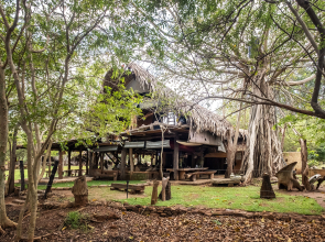 Banyan Camp