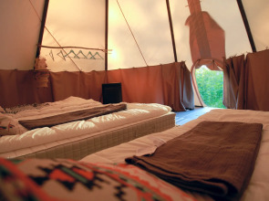 Глэмпинг Папоротник