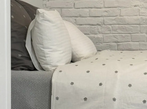 Апартаменты в Доме купца Переплетчикова