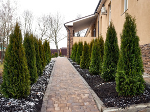 Отель Русский Пар