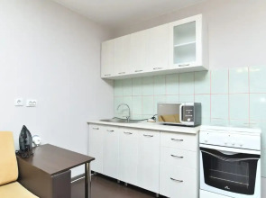 Апартаменты Уютная студия на Зорге 94