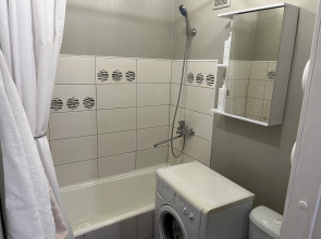 Апартаменты Топольники