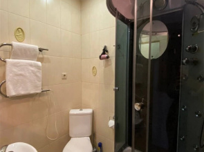 Апартаменты Central Inn