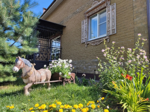 Гостевой дом Старый Городец