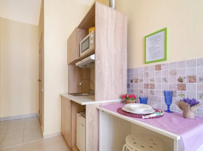 Апартаменты в ЖК Царская Площадь 383-1