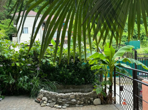 Гостевой дом Пальма Туапсе