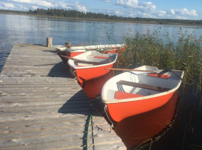 Гостевой дом Дикий Гусь