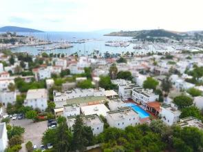 Отель Costa Maya