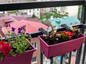 Апартаменты Scandi Home