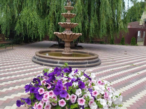 Отель Провинция