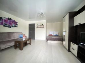 Апартаменты у Химиков