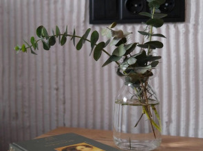 Апартаменты Терракотовая Студия