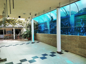 Мини-отель Гостиница Домик в Гаграх