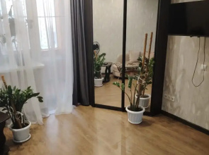 V Tsentre Apartments