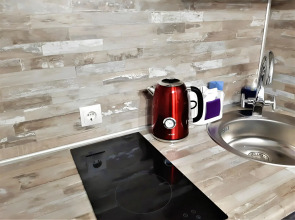 Квартира Мильфей 21-3