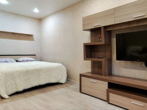 Odnokomnatnaya V Tsentre Goroda Flat
