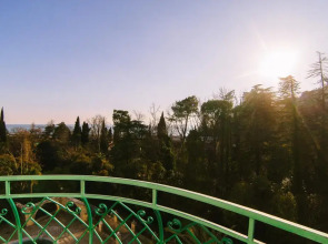 Золотая Пальма