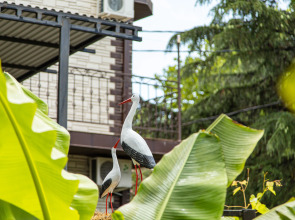 Гостевой Дом Light House