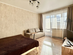 Квартира Zeninapart
